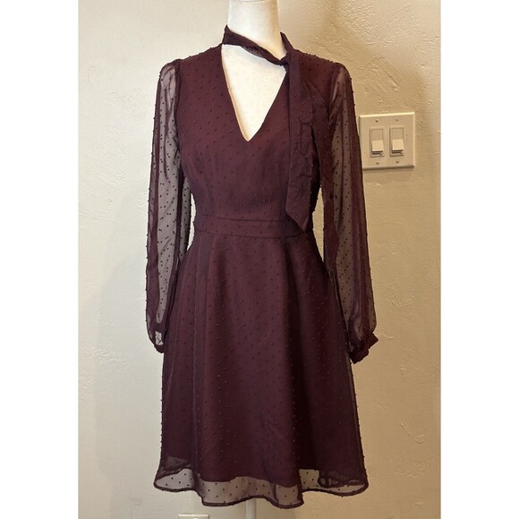 Modcloth Apogee of Elegance Swiss Dot Chiffon Burgundy Fit Flare Dress 6 AQ3513f - Picture 3 of 16